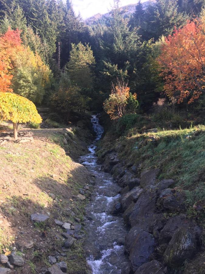 Mountain Creek Vacation Hotel Queenstown Buitenkant foto