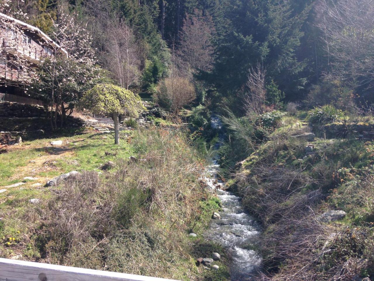 Mountain Creek Vacation Hotel Queenstown Buitenkant foto